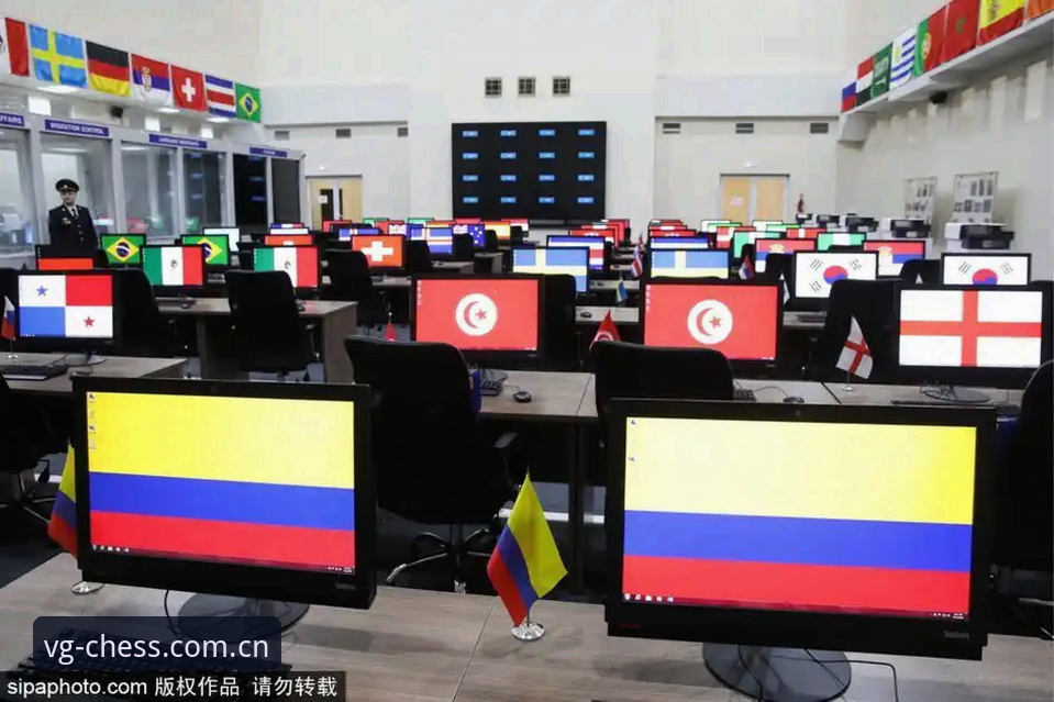 VG棋牌正版下载 世界杯安保新策略评测:从英国警员缩减看赛事管理创新体验报告